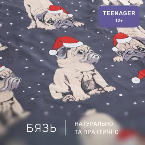 Комплект постельного белья Бязь TEENAGER 17-0598 New Year's pug - 2