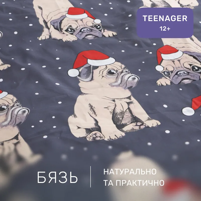 Комплект постельного белья Бязь TEENAGER 17-0598 New Year's pug - 1