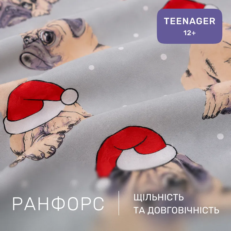 Комплект постільної білизни Ranforce Elite TEENAGER 17-0599 New Year's pug Grey - 1