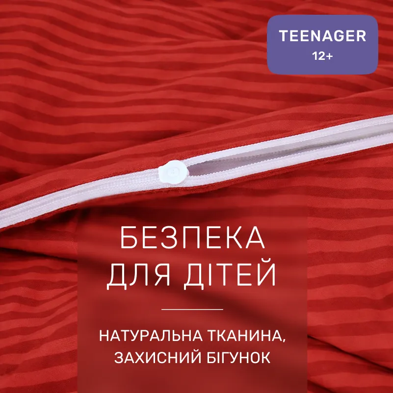  Комплект постельного белья Бязь TEENAGER 17-0608 Stripe Red - 2
