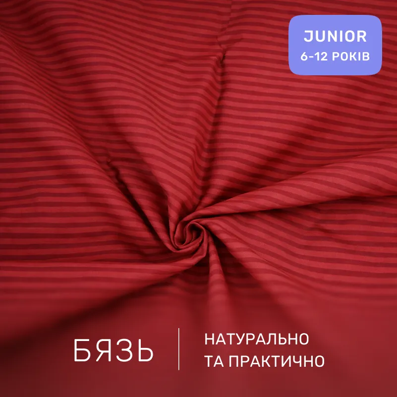 Комплект постельного белья  Бязь JUNIOR 17-0608 Stripe Red - 1