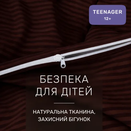 Комплект постільної білизни Ranforce Elite TEENAGER 17-0617 Stripe Brown - 3