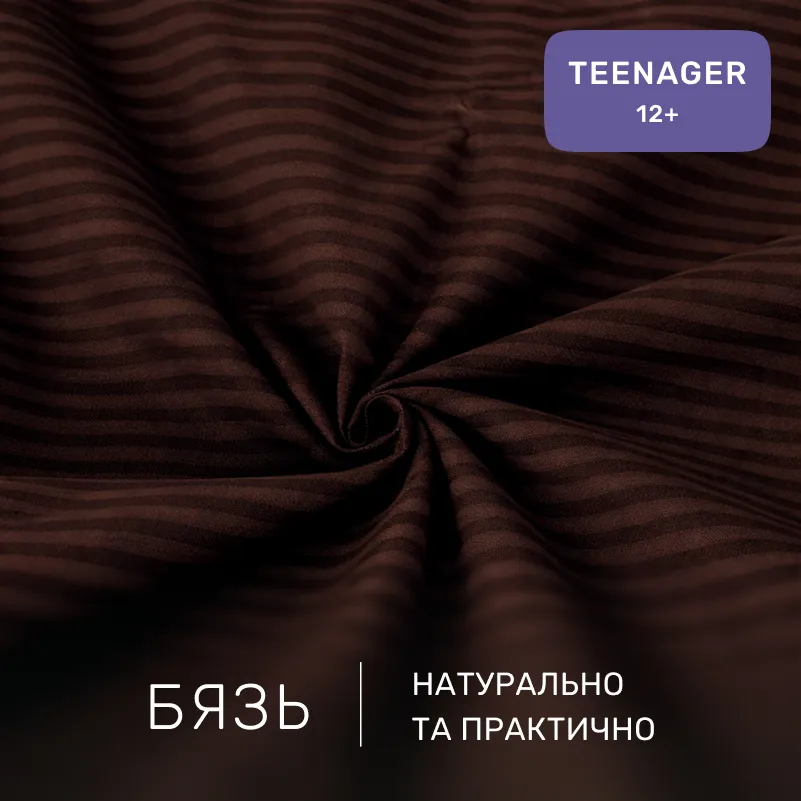 Комплект постельного белья Бязь TEENAGER 17-0617 Stripe Brown - 1