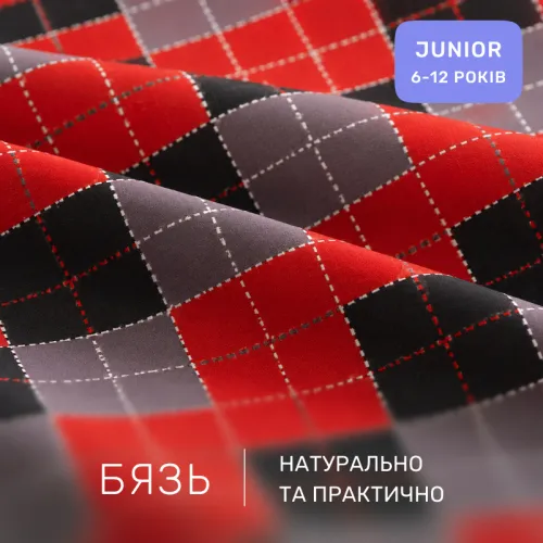 Комплект постельного белья Бязь JUNIOR 17-0658 Jingle - 2