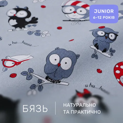 Комплект постельного белья Бязь JUNIOR 17-0672 Silver Owlets - 2