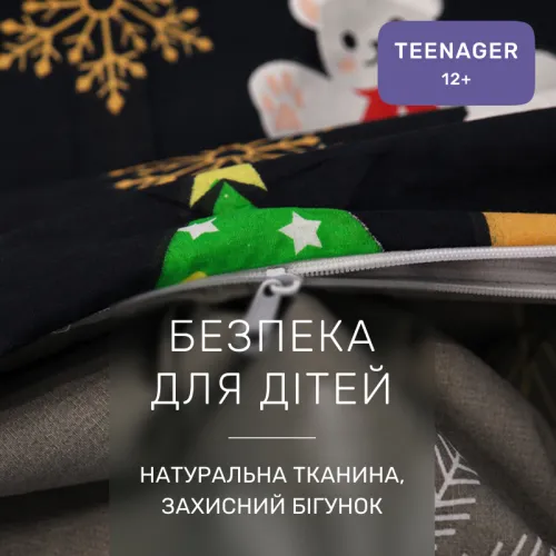 Комплект постільної білизни Ranforce Elite TEENAGER 17-0678 Frosty Fun - 3