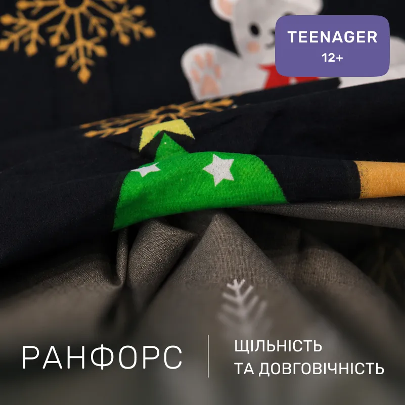 Комплект постельного белья Ranforce Elite TEENAGER 17-0678 Frosty Fun - 1