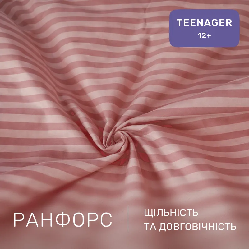 Комплект постельного белья Ranforce Elite TEENAGER 17-0773 Nude stripes - 1
