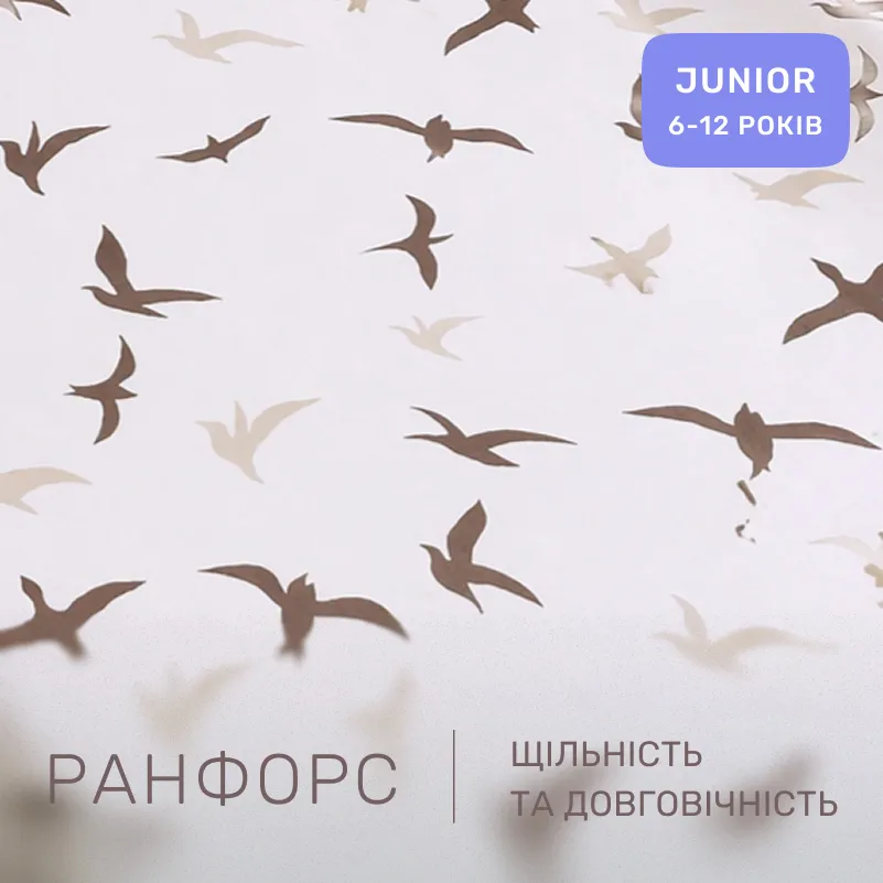 Комплект постельного белья Ranforce Elite JUNIOR 17-0826 Flying birds brown - 1