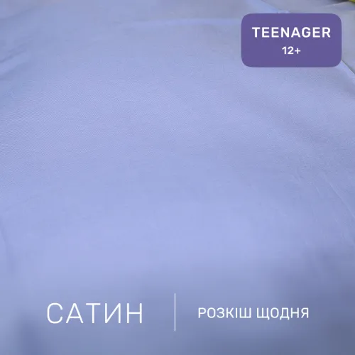 Комплект постельного белья Сатин TEENAGER 22-1146 Felikin - 2