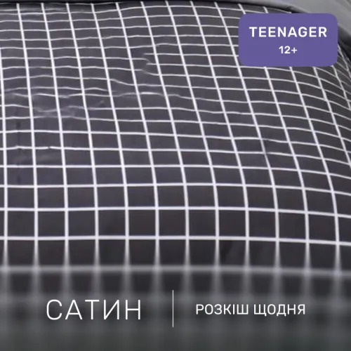 Комплект постельного белья Сатин TEENAGER 22-1372 Silver Checkered - 2
