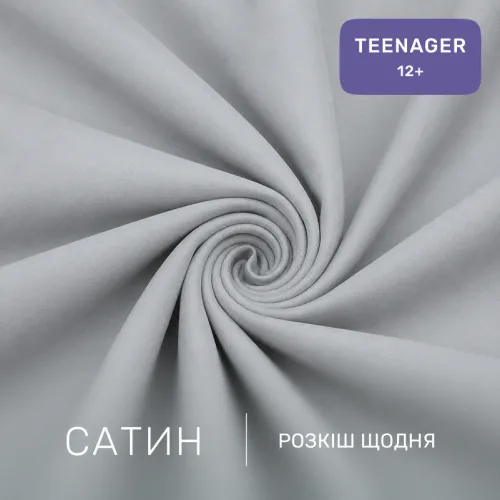 Комплект постельного белья Сатин TEENAGER 22-1382 English Style - 2