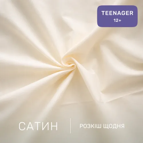 Комплект постельного белья Сатин TEENAGER 22-1413 Brown Geometry - 2