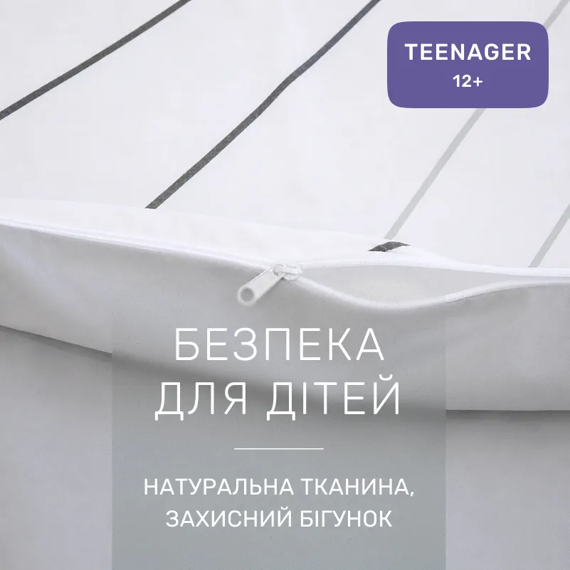 Комплект постельного белья Сатин TEENAGER 22-1436 Gray Line - 2