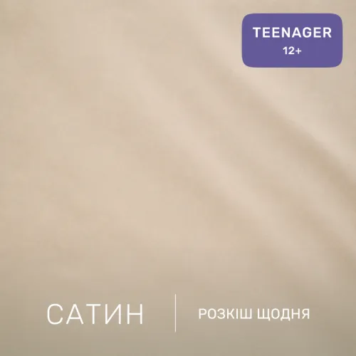 Комплект постільної білизни Сатин TEENAGER 22-1473 Flying Friends - 2