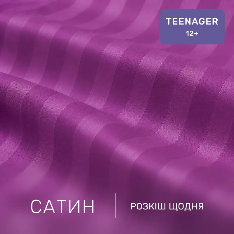 Комплект постельного белья Сатин TEENAGER Satin Stripe 30-0009 Purple - 1