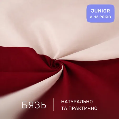 Комплект постельного белья Бязь JUNIOR Fabio (12-0712 + 19-1655) - 2