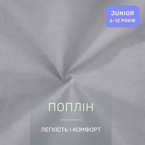 Комплект постельного белья JUNIOR Poplin Line 054 + 041 Daniel - 2