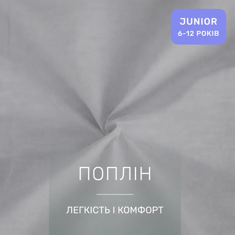 Комплект постельного белья JUNIOR Poplin Line 054 + 041 Daniel - 1