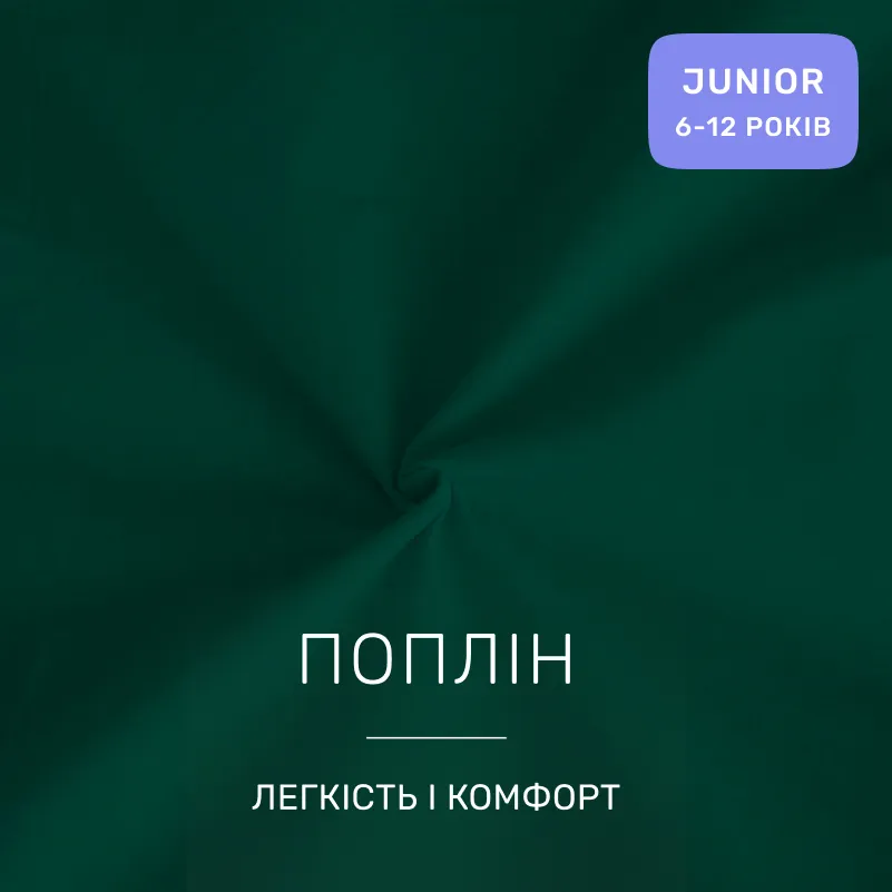 Комплект постельного белья JUNIOR Poplin Line 091 + 099 Ferdinand - 1