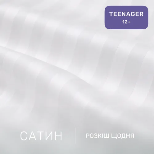 Комплект постельного белья Сатин TEENAGER Satin Stripe 30-0007 + 30-0001 Beatrisa - 2