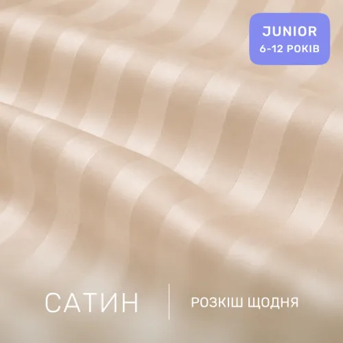 Комплект постельного белья Сатин JUNIOR Satin Stripe 30-0007 + 30-0004 Evanjalin - 2