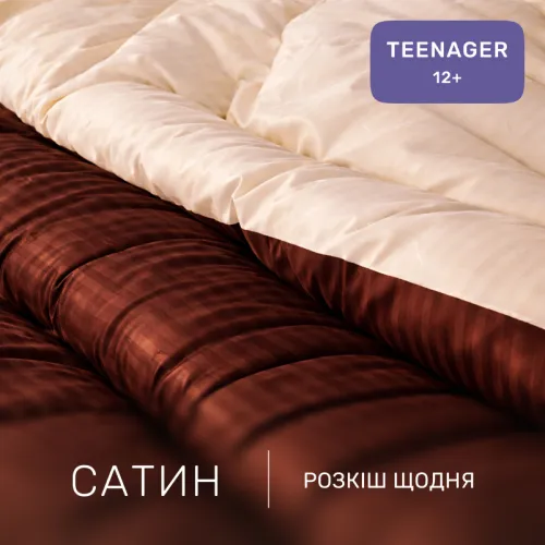 Комплект постельного белья Сатин TEENAGER Satin Stripe 30-0006 + 30-0004 Baylee - 2