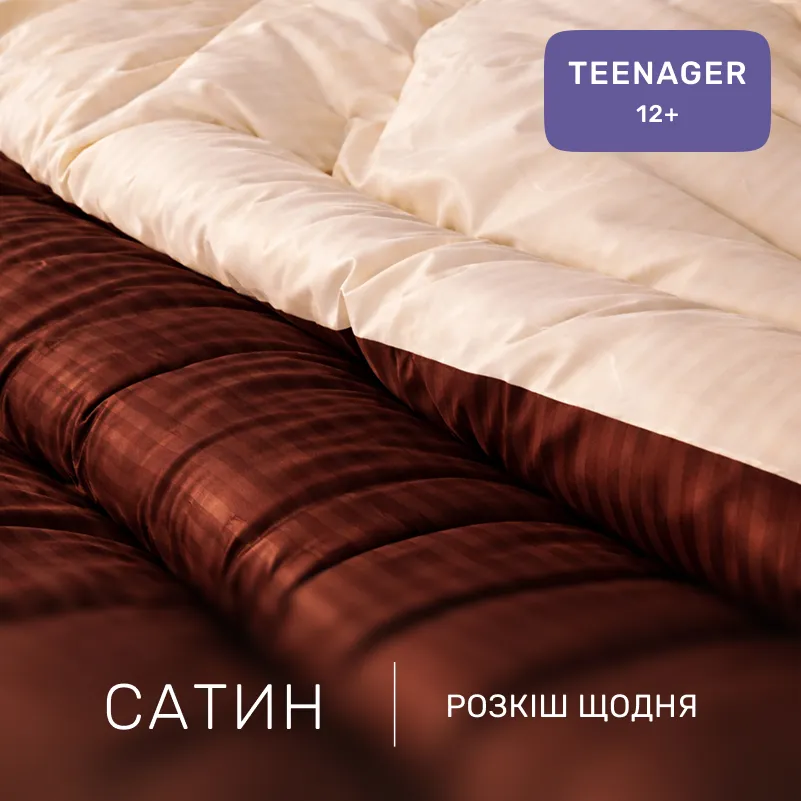 Комплект постельного белья Сатин TEENAGER Satin Stripe 30-0006 + 30-0004 Baylee - 1