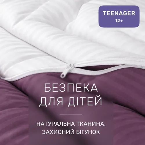 Комплект постельного белья Сатин TEENAGER Satin Stripe 30-0008 + 30-0001 Bethseda - 3