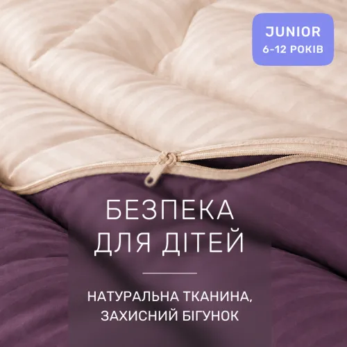 Комплект постельного белья Сатин JUNIOR Satin Stripe 30-0008 + 30-0004 Waleis - 3