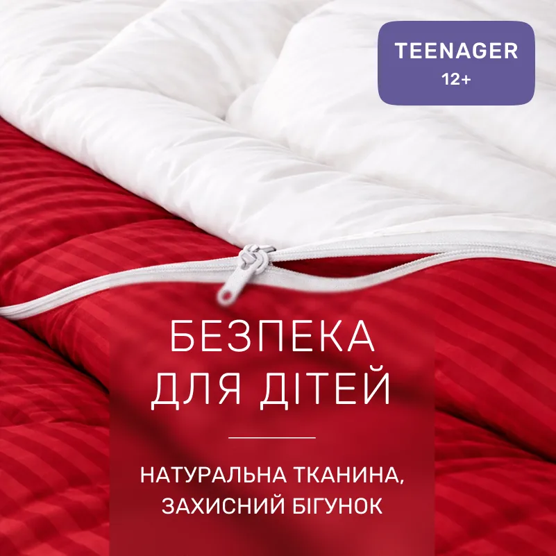 Комплект постельного белья Сатин TEENAGER Satin Stripe 30-0018 + 30-0001 Feinarina - 2