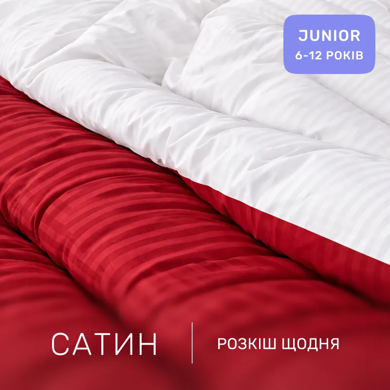 Комплект постельного белья Сатин JUNIOR Satin Stripe 30-0018 + 30-0001 Feinarina - 1