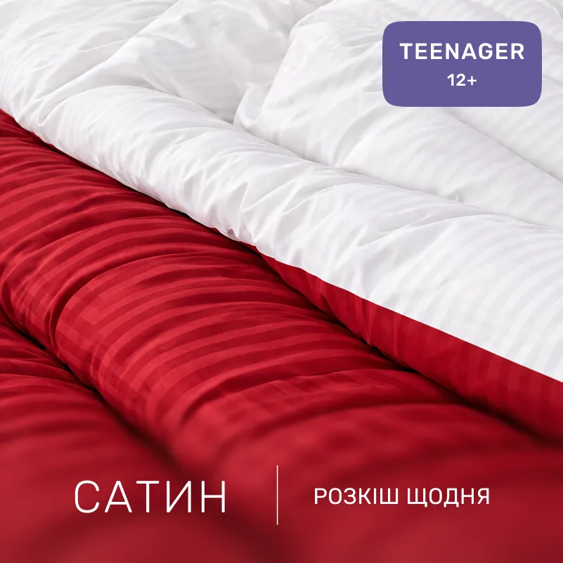 Комплект постельного белья Сатин TEENAGER Satin Stripe 30-0018 + 30-0001 Feinarina - 1