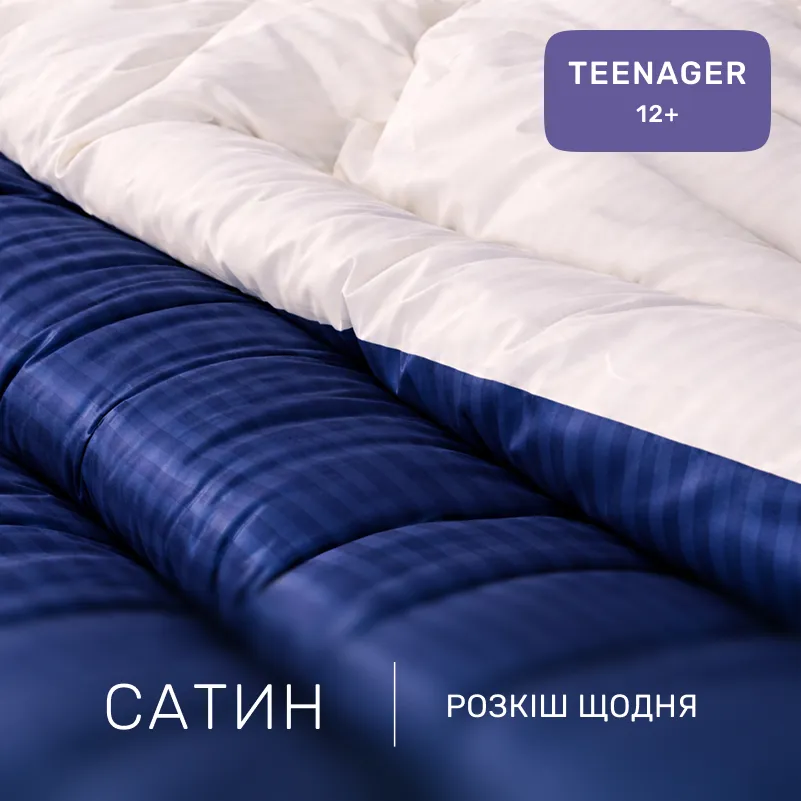 Комплект постельного белья Сатин TEENAGER Satin Stripe 30-0020 + 30-0001 Naskirin - 1
