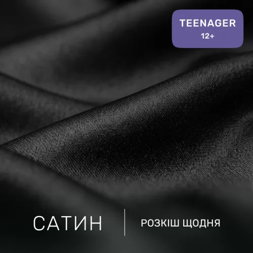 Комплект постельного белья Сатин TEENAGER 0848 Blue Black - 2