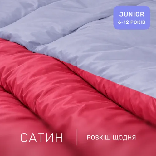 Комплект постельного белья Сатин JUNIOR 0847 + 0842 Donald - 2