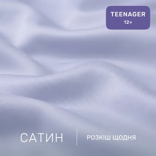 Комплект постельного белья Сатин TEENAGER 0843 Grey Blue - 2