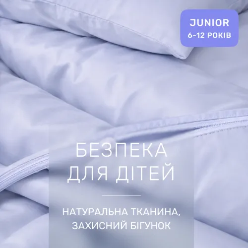 Комплект постельного белья Сатин JUNIOR 0843 Grey Blue - 3