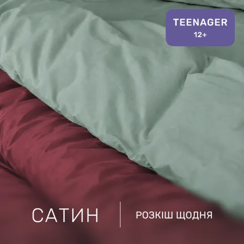 Комплект постельного белья Сатин TEENAGER 0844+ 0847 Ralph - 2
