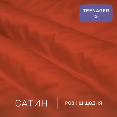 Комплект постельного белья Сатин TEENAGER 0081 Terracotta - 2