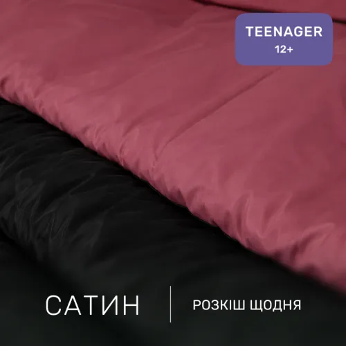 Комплект постельного белья Сатин TEENAGER 0848 + 0847 William - 2