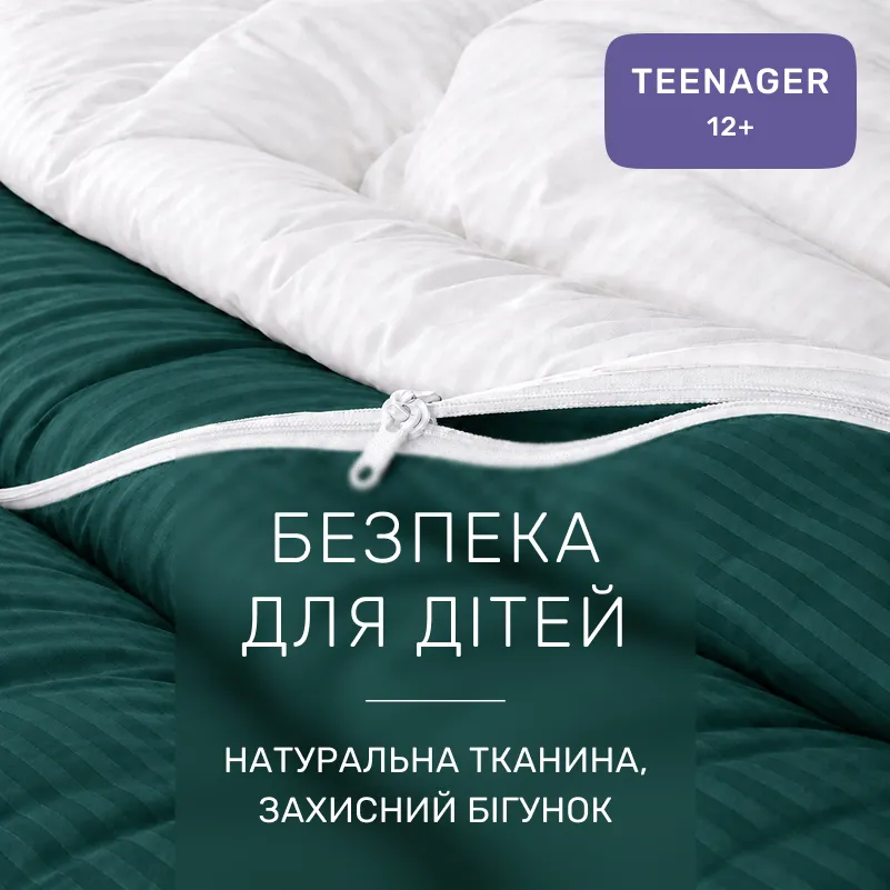 Комплект постільної білизни Сатин TEENAGER Satin Stripe 30-0017 + 30-0001 Arabella - 2