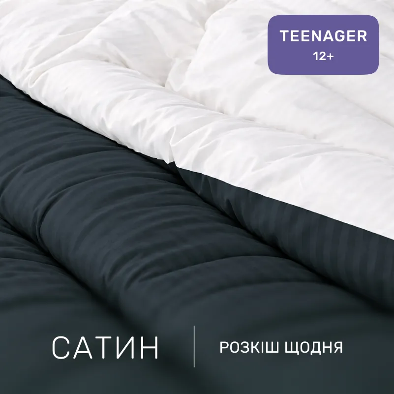 Комплект постельного белья Сатин TEENAGER Satin Stripe 30-0021 + 30-0001 Atanelly - 1