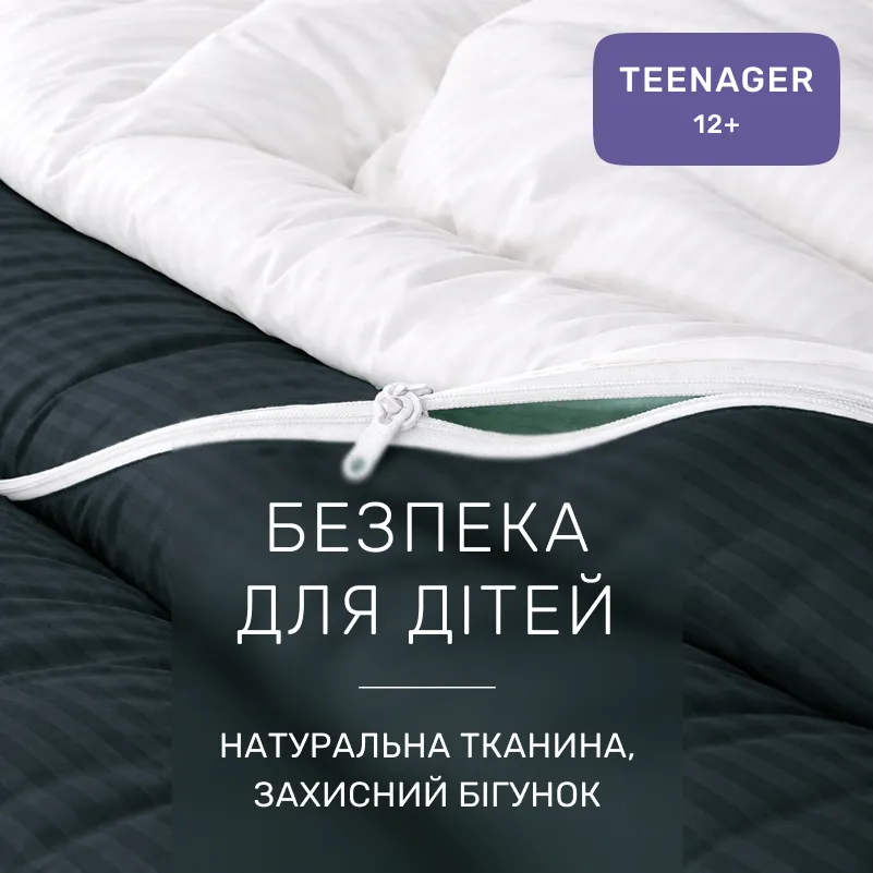 Комплект постельного белья Сатин TEENAGER Satin Stripe 30-0021 + 30-0001 Atanelly - 2