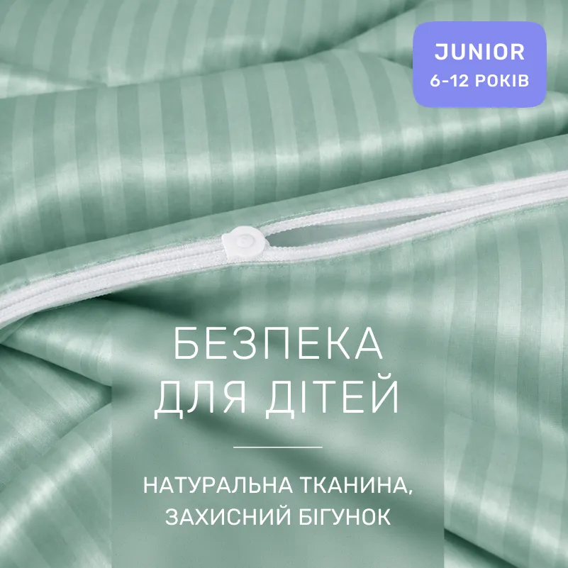 Комплект постільної білизни Сатин JUNIOR Satin Stripe 30-0013 Azure - 2