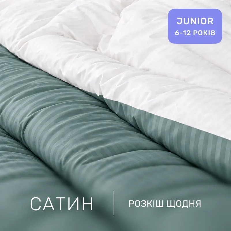 Комплект постельного белья Сатин JUNIOR Satin Stripe 30-0015 + 30-0001 Galiena - 1