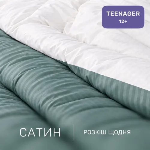 Комплект постільної білизни Сатин TEENAGER Satin Stripe 30-0015 + 30-0001 Galiena - 2