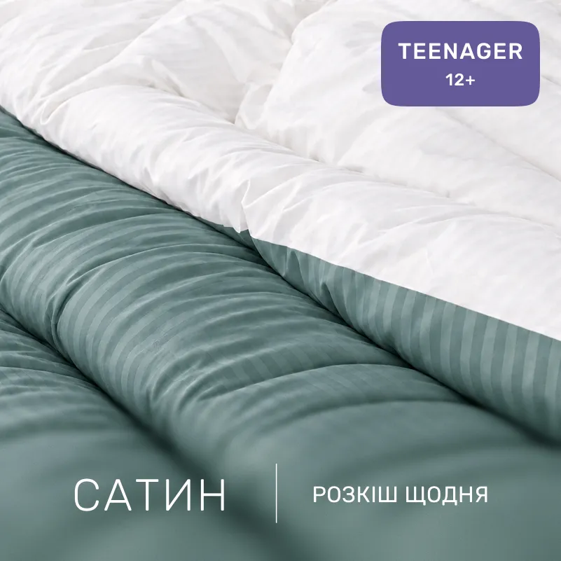 Комплект постельного белья Сатин TEENAGER Satin Stripe 30-0015 + 30-0001 Galiena - 1