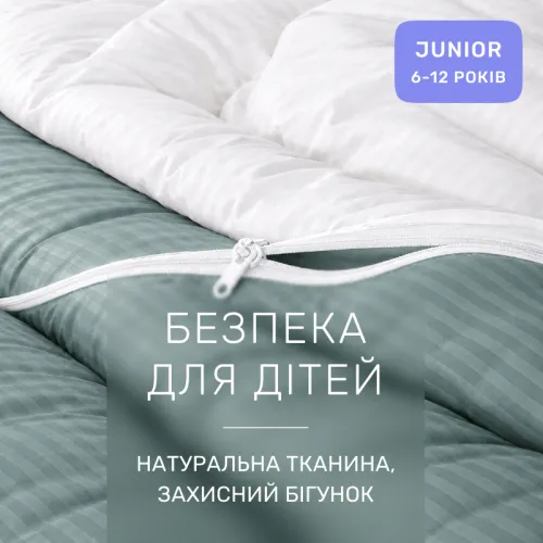 Комплект постельного белья Сатин JUNIOR Satin Stripe 30-0015 + 30-0001 Galiena - 3