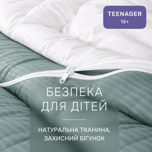 Комплект постільної білизни Сатин TEENAGER Satin Stripe 30-0015 + 30-0001 Galiena - 3